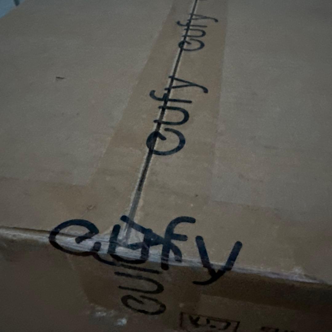 Eufy X10 Pro Omni ロボット掃除機本体　T2351511