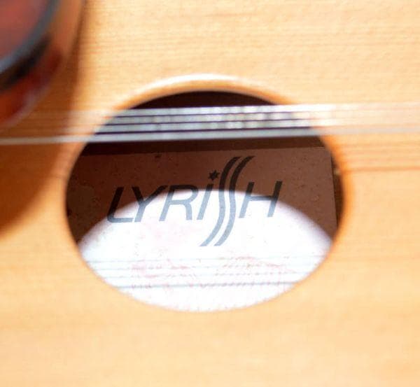 匿名配送☆大正琴 ライリッシュ LSS75 日本製 弦楽器 保管品 ケース付