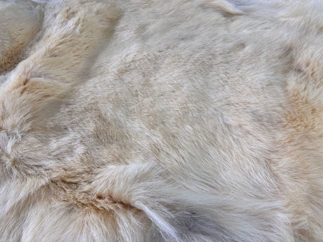 白熊　ホッキョクグマ　剥製　毛皮　マット