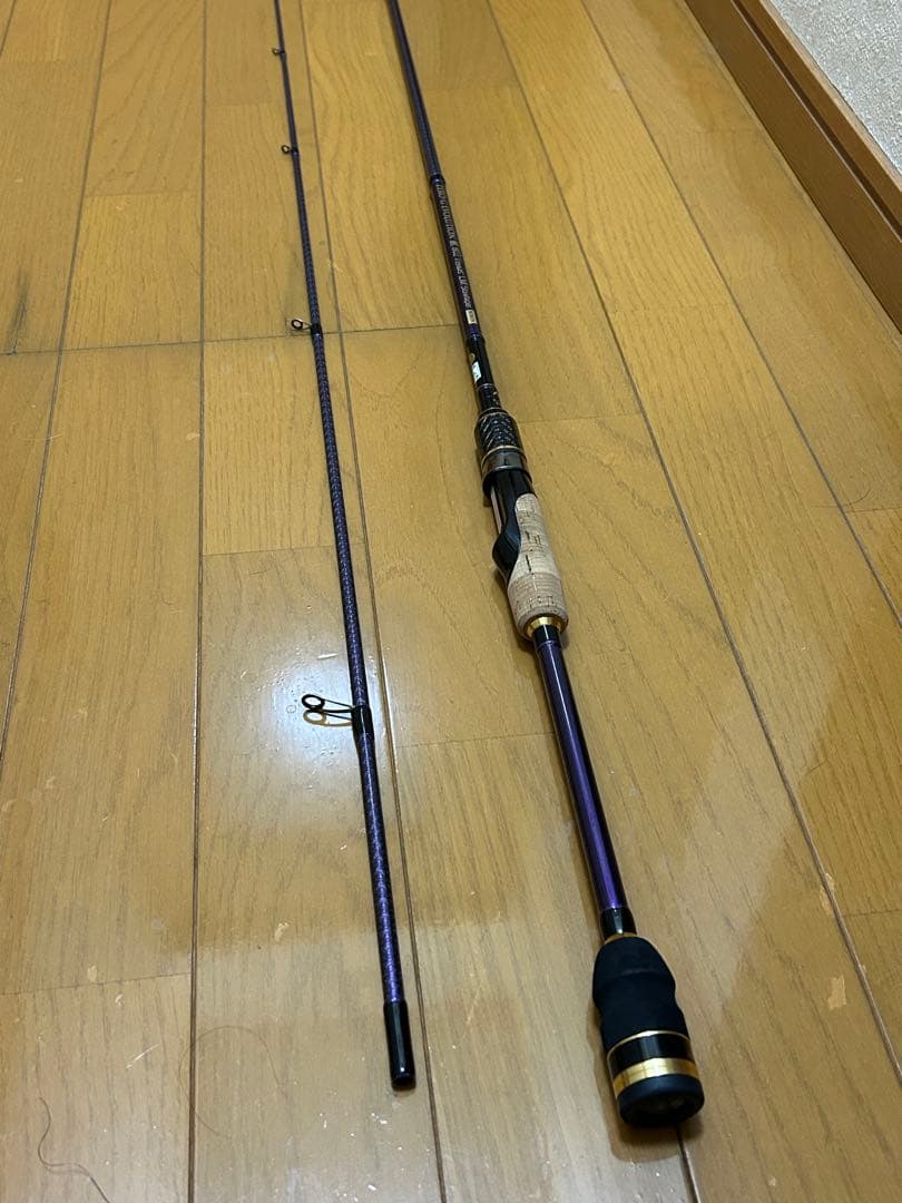 スクイッドマニア エヴォ 麗 802 Venus LM 限定カラー　超美品