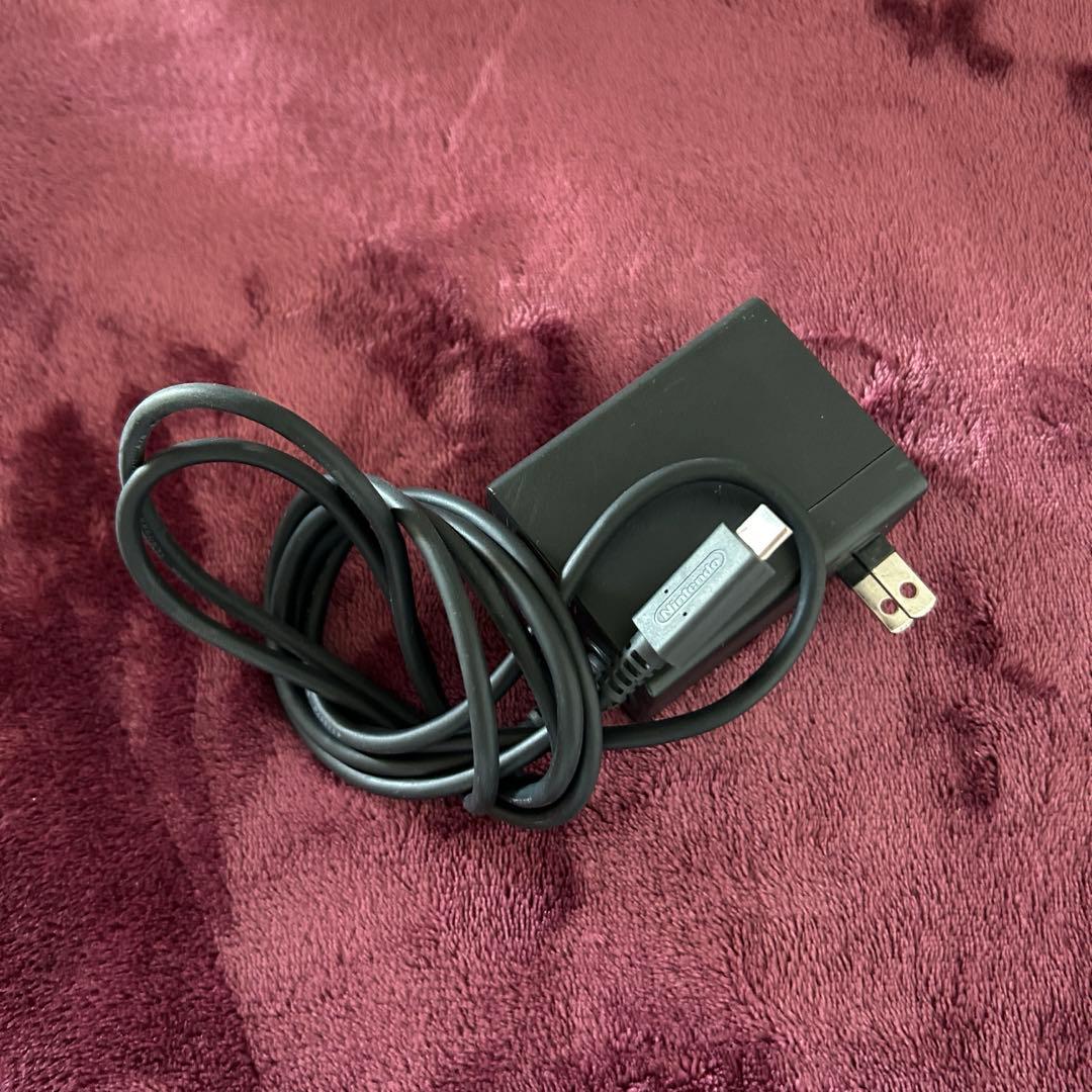 【充電器付き】2019年製 Nintendo Switch lite