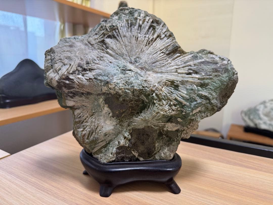 大型 下仁田 菊花石 菊寿石 鑑賞石 水石 自然石 盆石 盆栽 木製台座付き