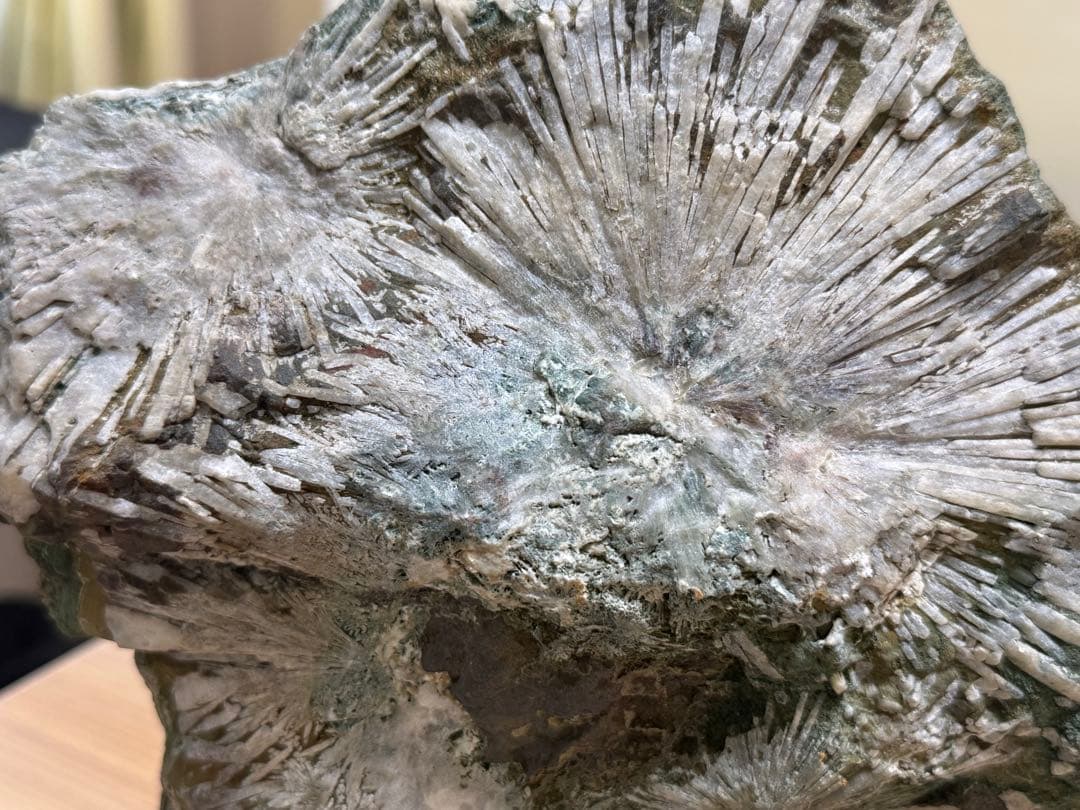 大型 下仁田 菊花石 菊寿石 鑑賞石 水石 自然石 盆石 盆栽 木製台座付き