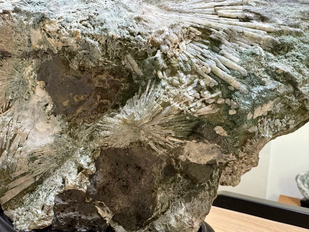 大型 下仁田 菊花石 菊寿石 鑑賞石 水石 自然石 盆石 盆栽 木製台座付き