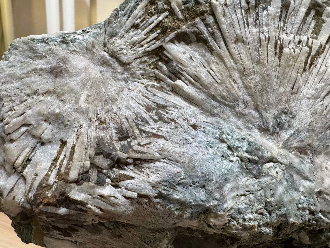 大型 下仁田 菊花石 菊寿石 鑑賞石 水石 自然石 盆石 盆栽 木製台座付き