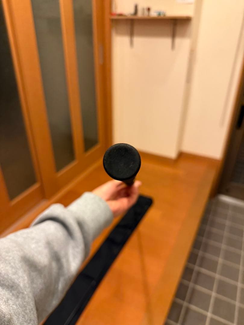 ダイワ モアザンブランジーノ EX AGS 98M/MH