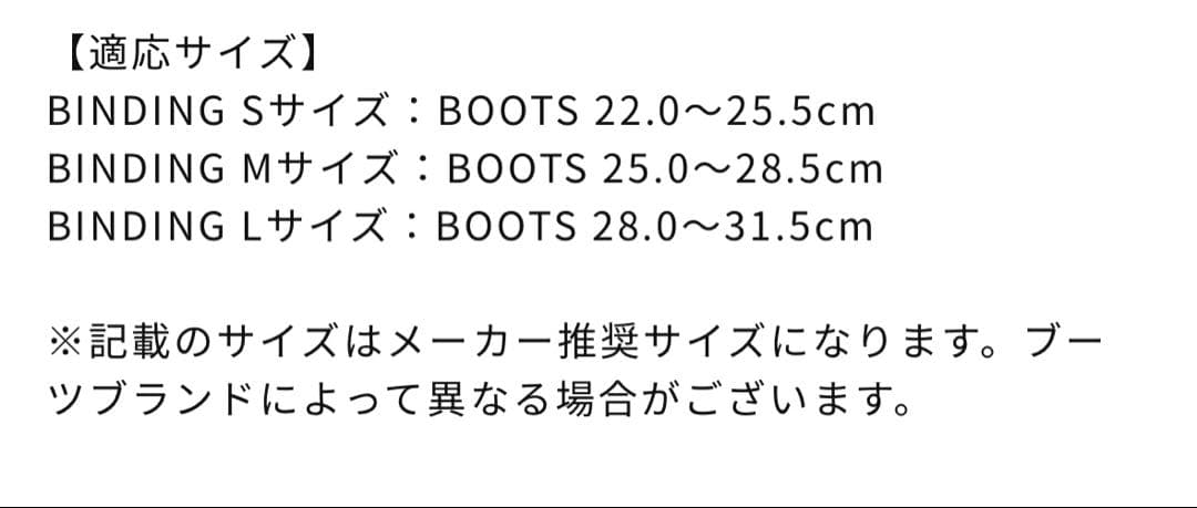 Salomon Hologram パープル ビンディング　Sサイズ