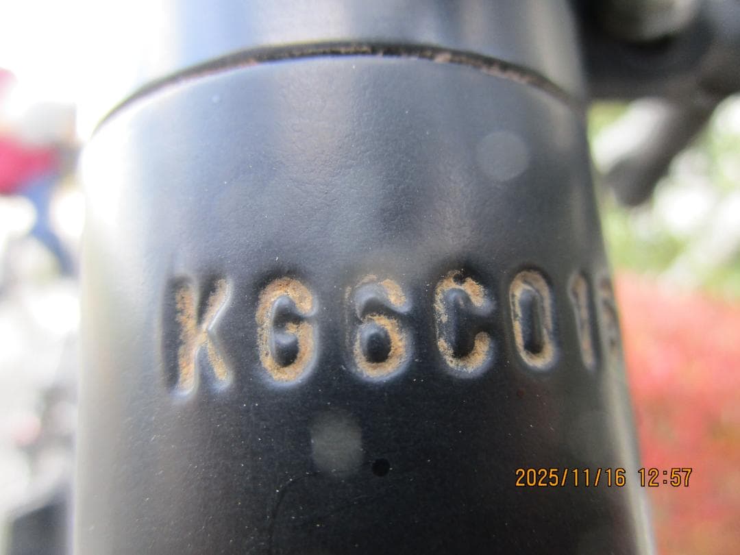 B/Sリアルストリーム(２０１６年)１２.８Ah(８速)電動自転車