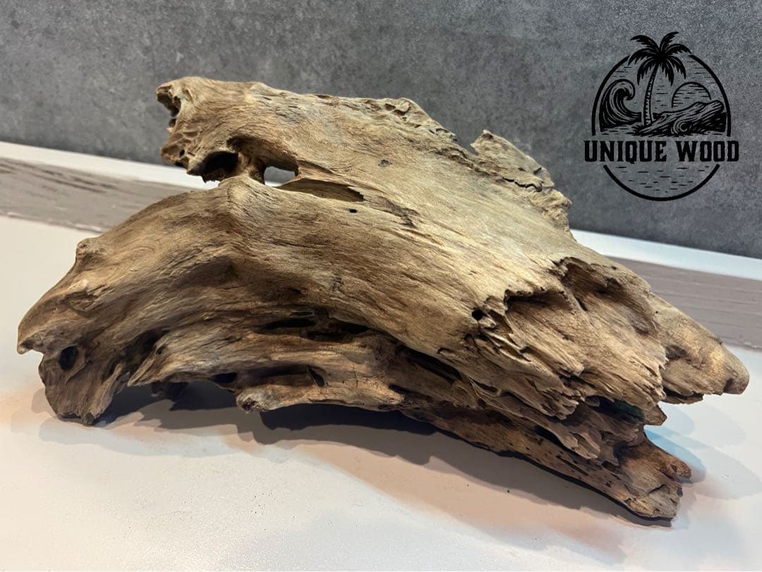 【コエポン】12点まとめ買い