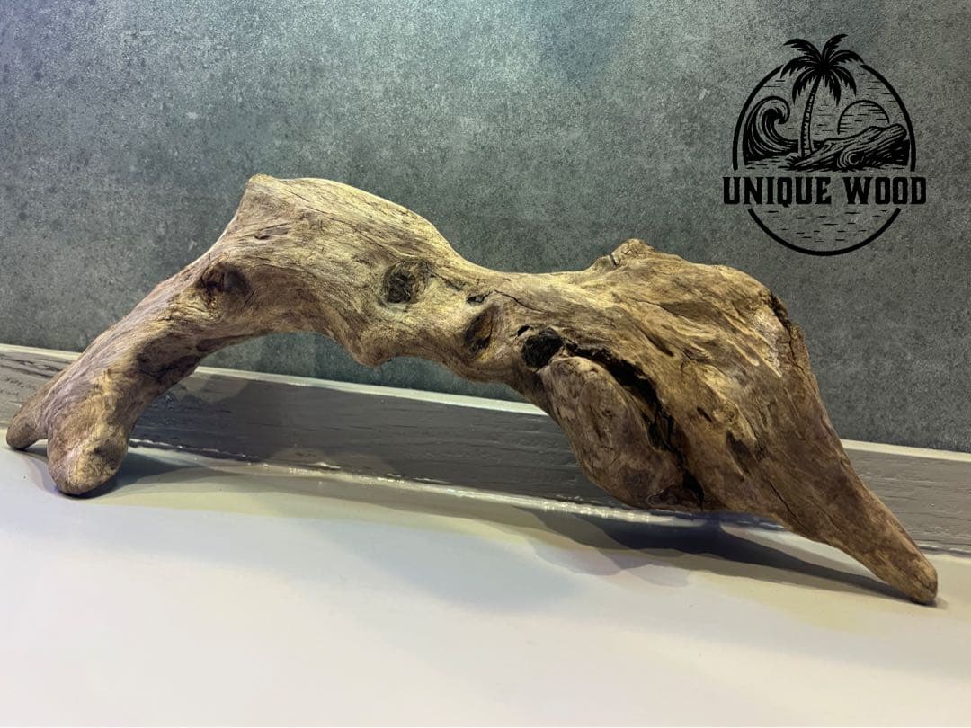 【コエポン】12点まとめ買い