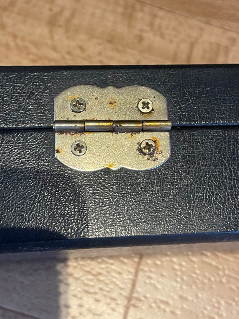 ADAM ビリヤードキュー ケース付き アダム