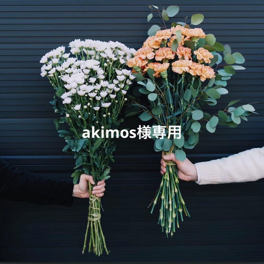 小物 akimos