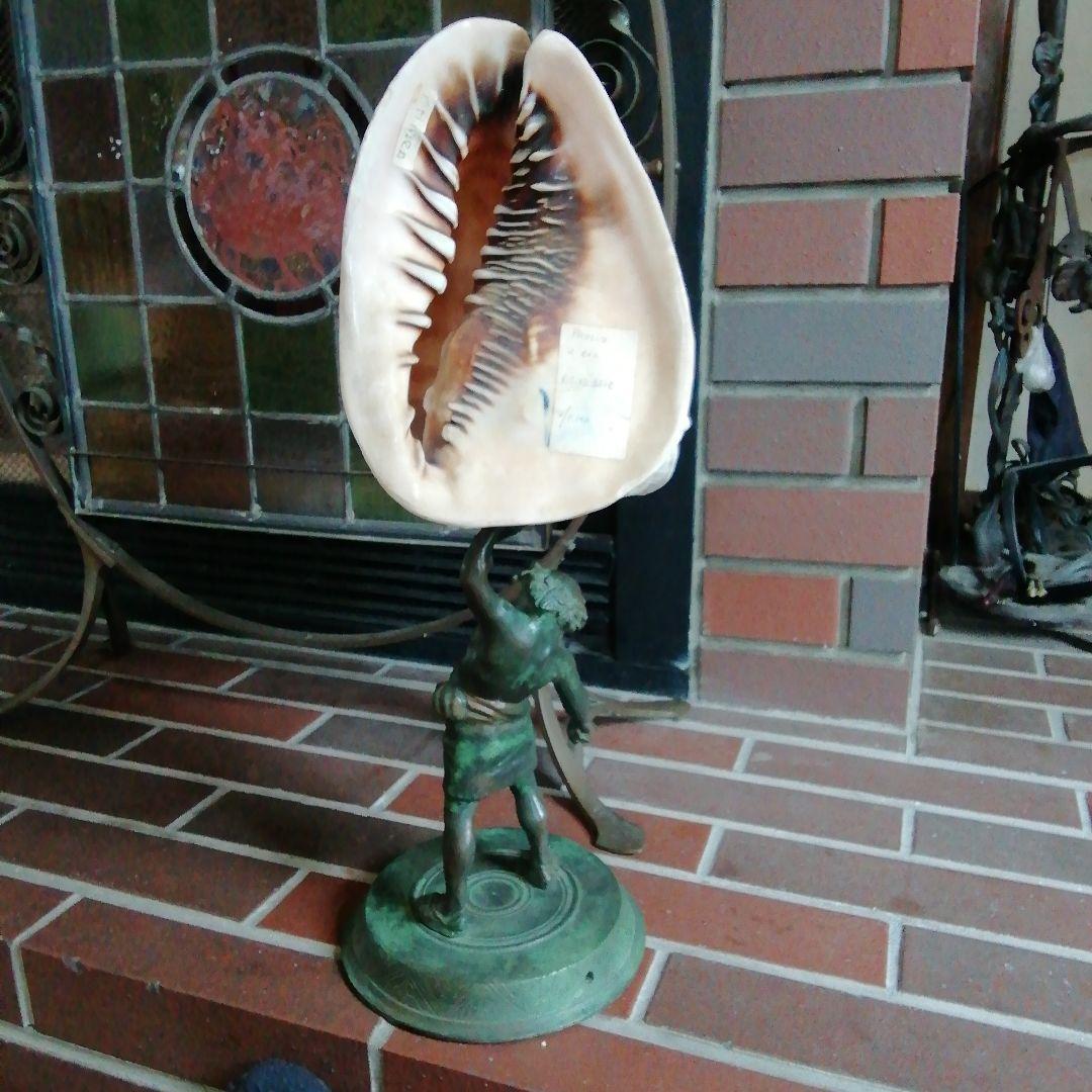 麦ちゃ様 古典的な神話の彫刻貝殻と青銅スタンド