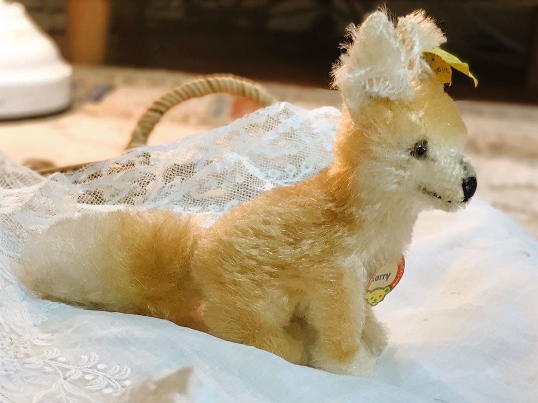 アンティーク シュタイフ社 きつねのXorry All IDs