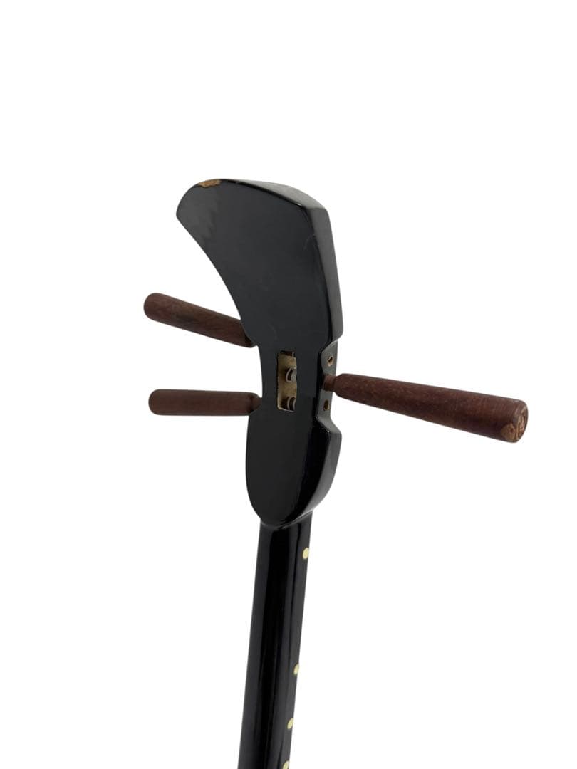 沖縄三線 沖縄 民謡 和楽器 三線 蛇皮