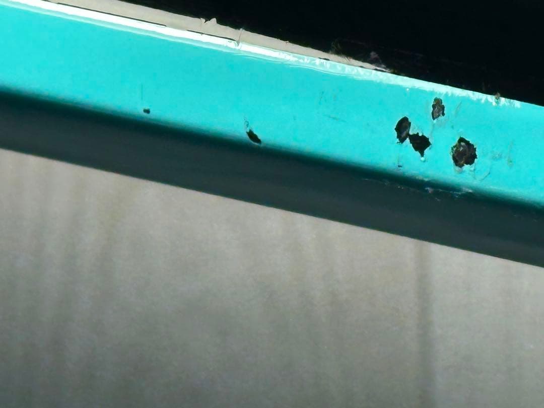 Bianchi インフィニートCV