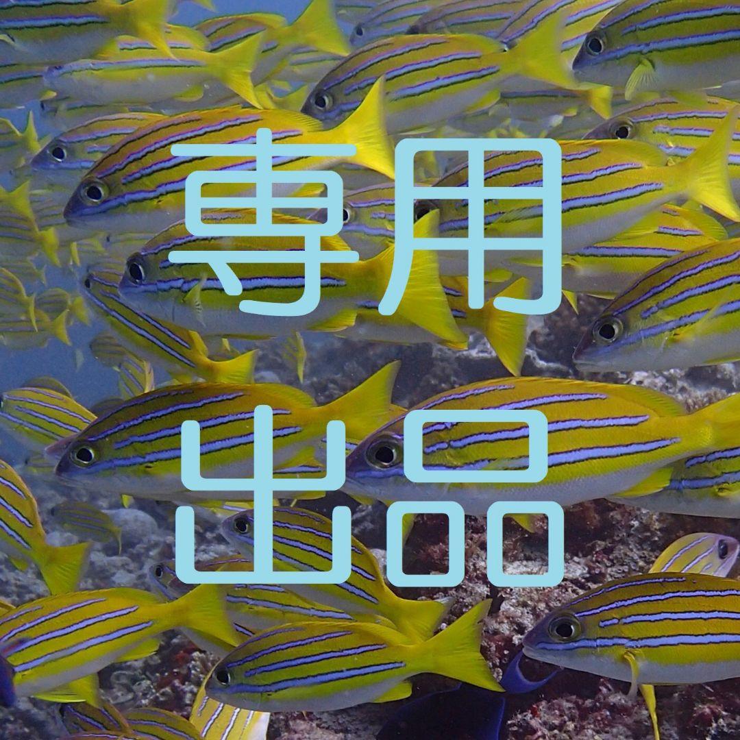 【ポケカ★初心者★】スーパーミリオンヘアー ライトブラウン 30g 6箱