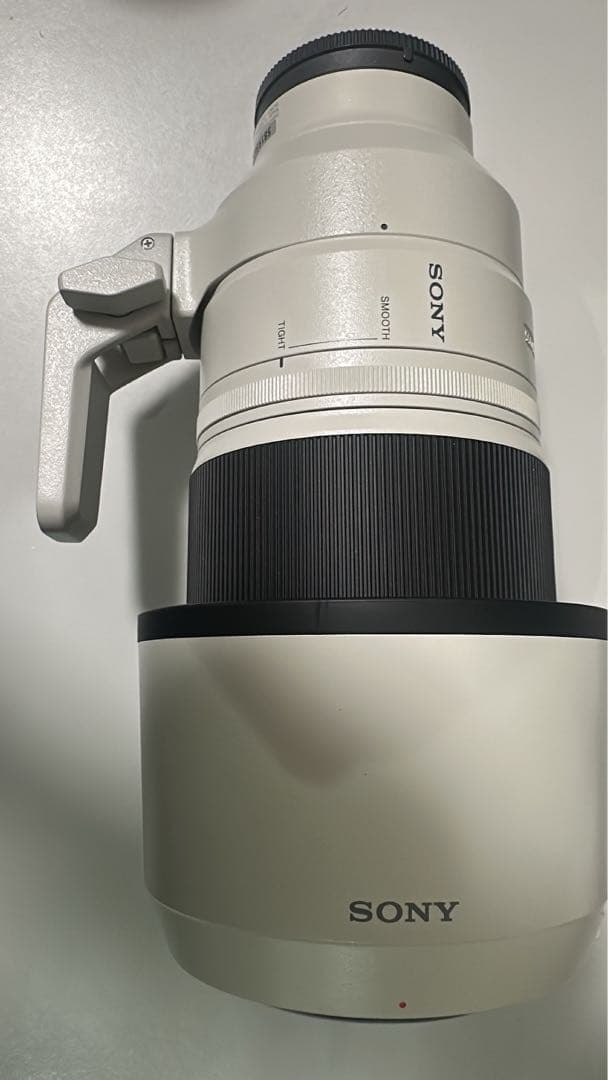 SONYFE100-400mmF4.5-5.6 GM OSSとVF-77MPAM