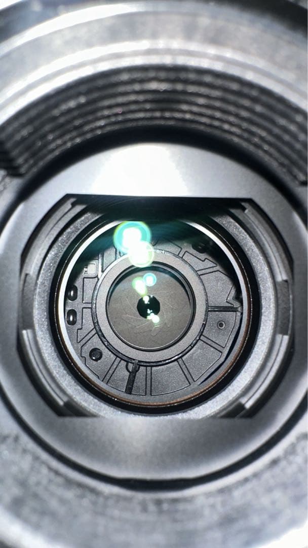 SONYFE100-400mmF4.5-5.6 GM OSSとVF-77MPAM