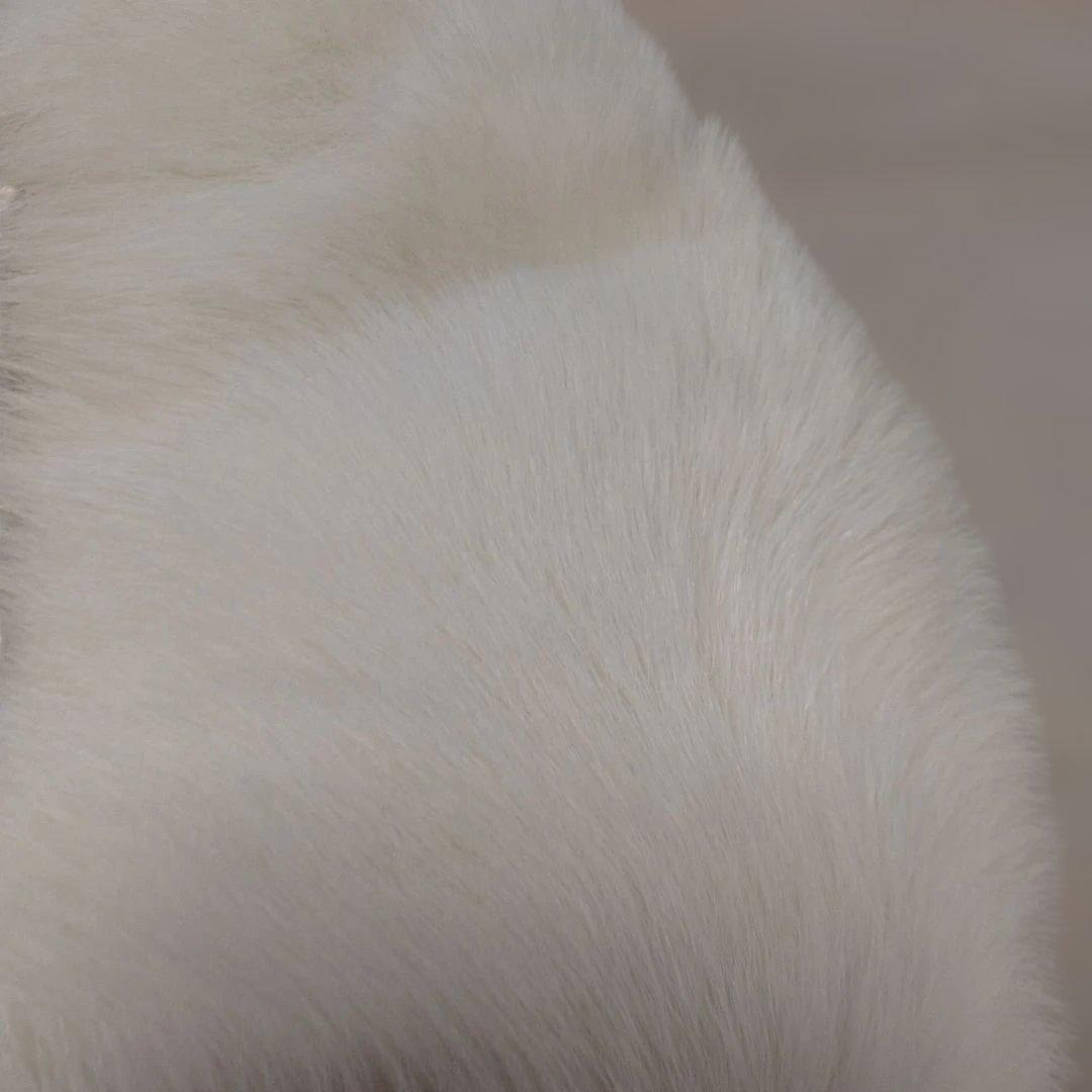 ＳＡＧＡ ＦＯＸ ファーショール　長さ約１１７㌢(毛足含む)　オフホワイト