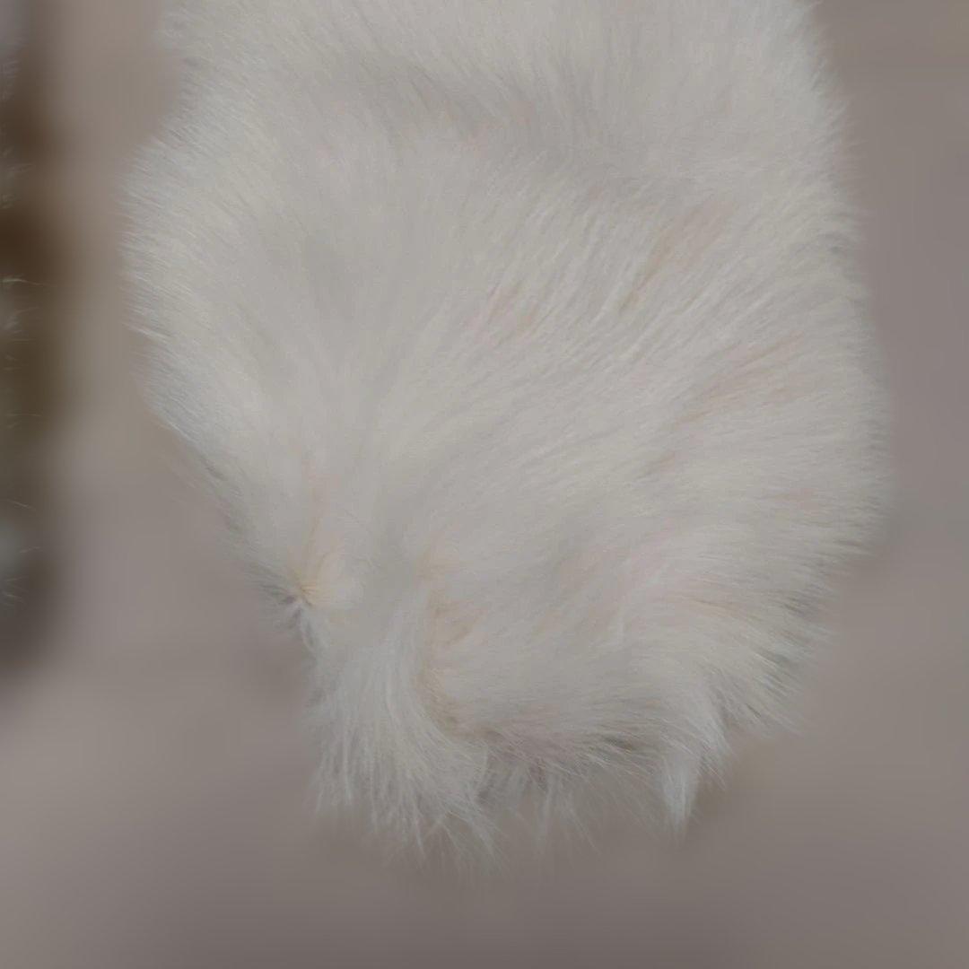 ＳＡＧＡ ＦＯＸ ファーショール　長さ約１１７㌢(毛足含む)　オフホワイト