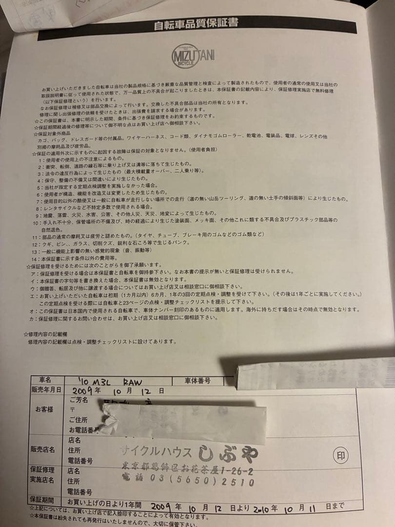 BROMPTON 2010’ M3L Raw