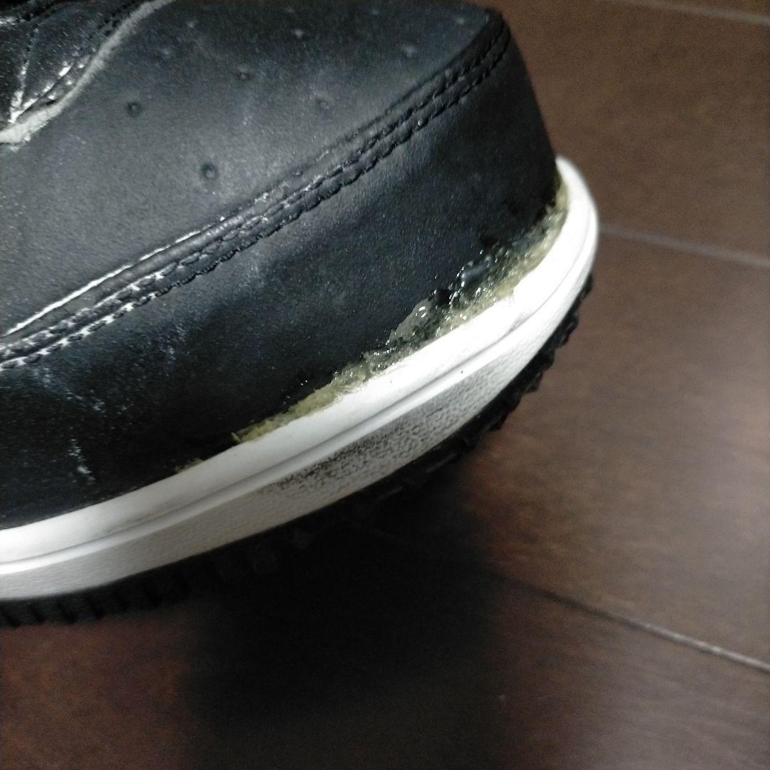 レア Nike SB ZF1 ナイキ スノーボード ブーツ ダブル BOA 26