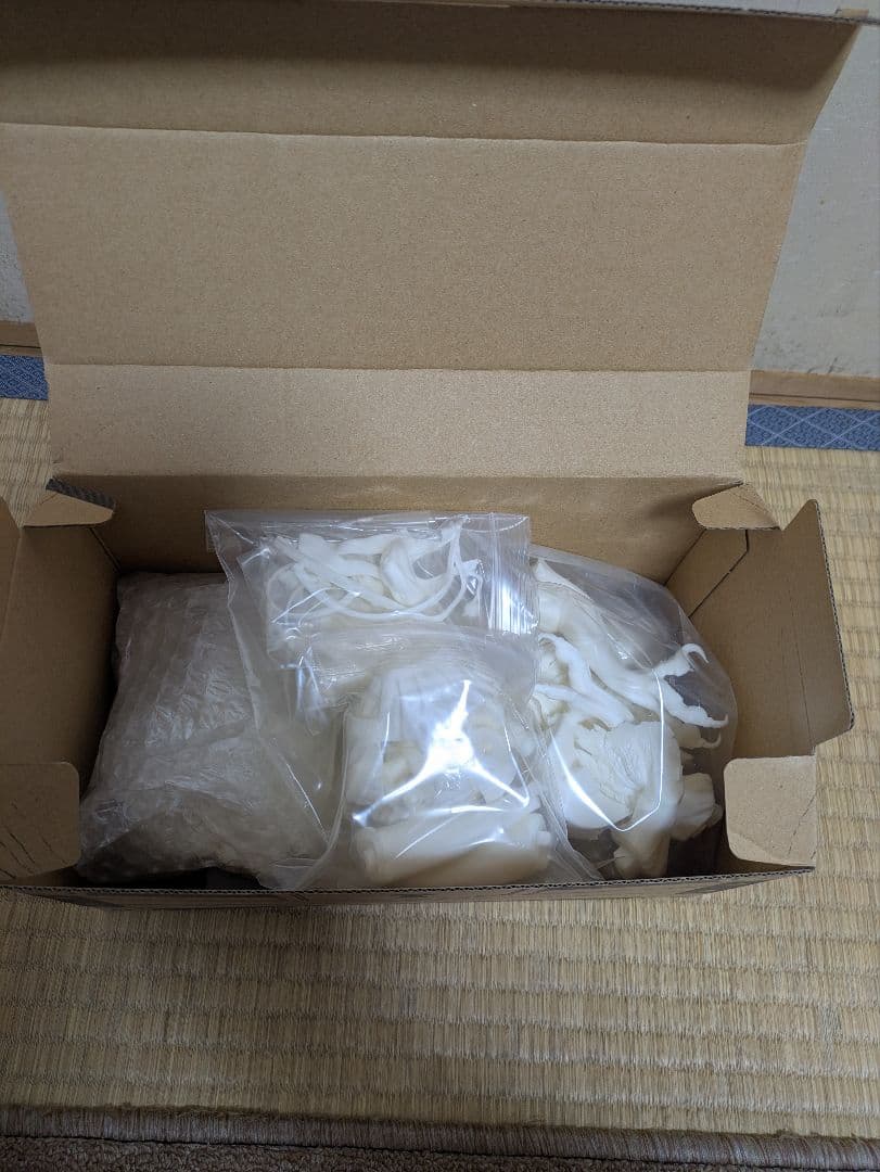 未組み立て　2019夏 コネクトレクト　FGO　アストルフォ　出発進行ヒポグリフ