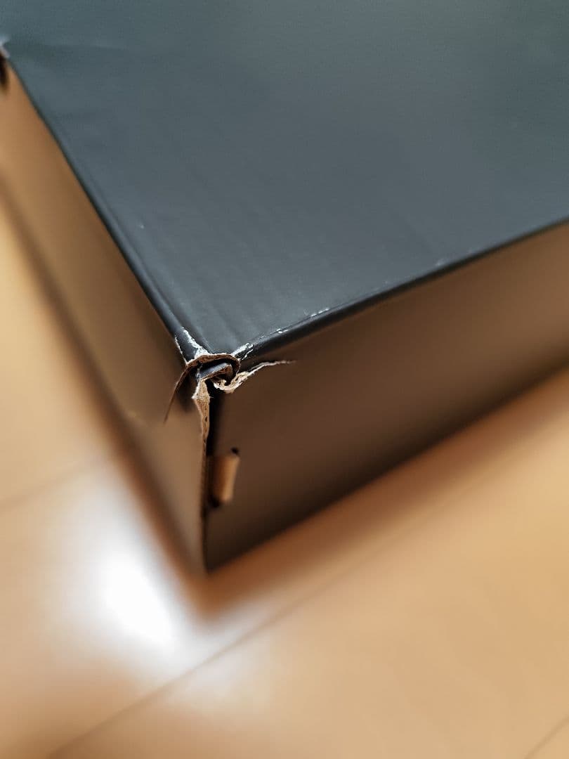 AIR JORDAN 1 LOW SE DV1309 100【28.5cm】