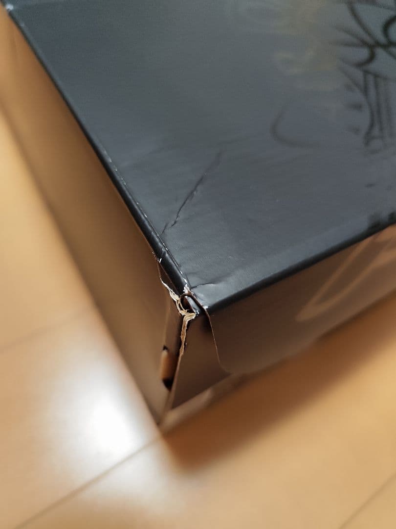 AIR JORDAN 1 LOW SE DV1309 100【28.5cm】