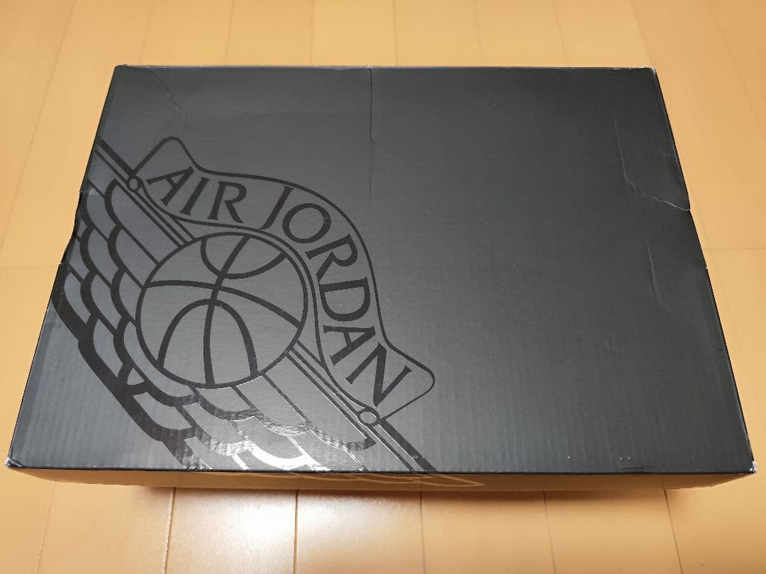 AIR JORDAN 1 LOW SE DV1309 100【28.5cm】
