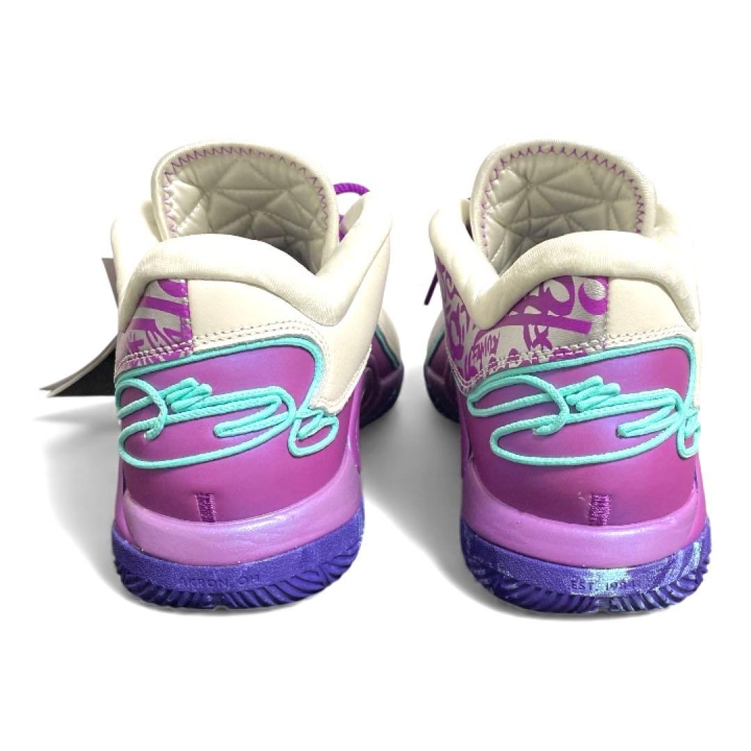 NIKE レブロン22 EP 28.5cm 新品LEBRON XXII バッシュ