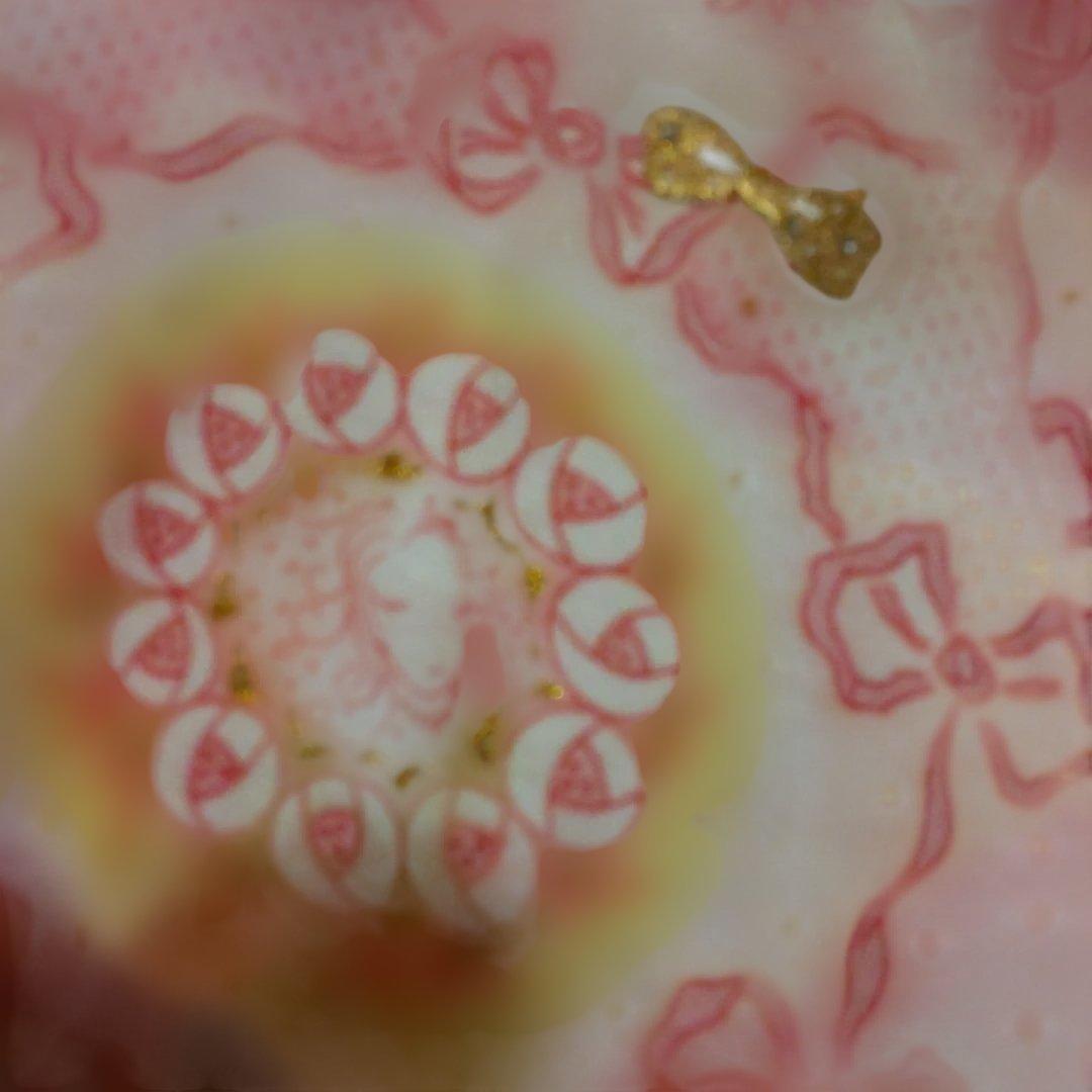 tsumori chisatoタグ付新品 乙女と猫と薔薇の総柄パジャマ上下セット