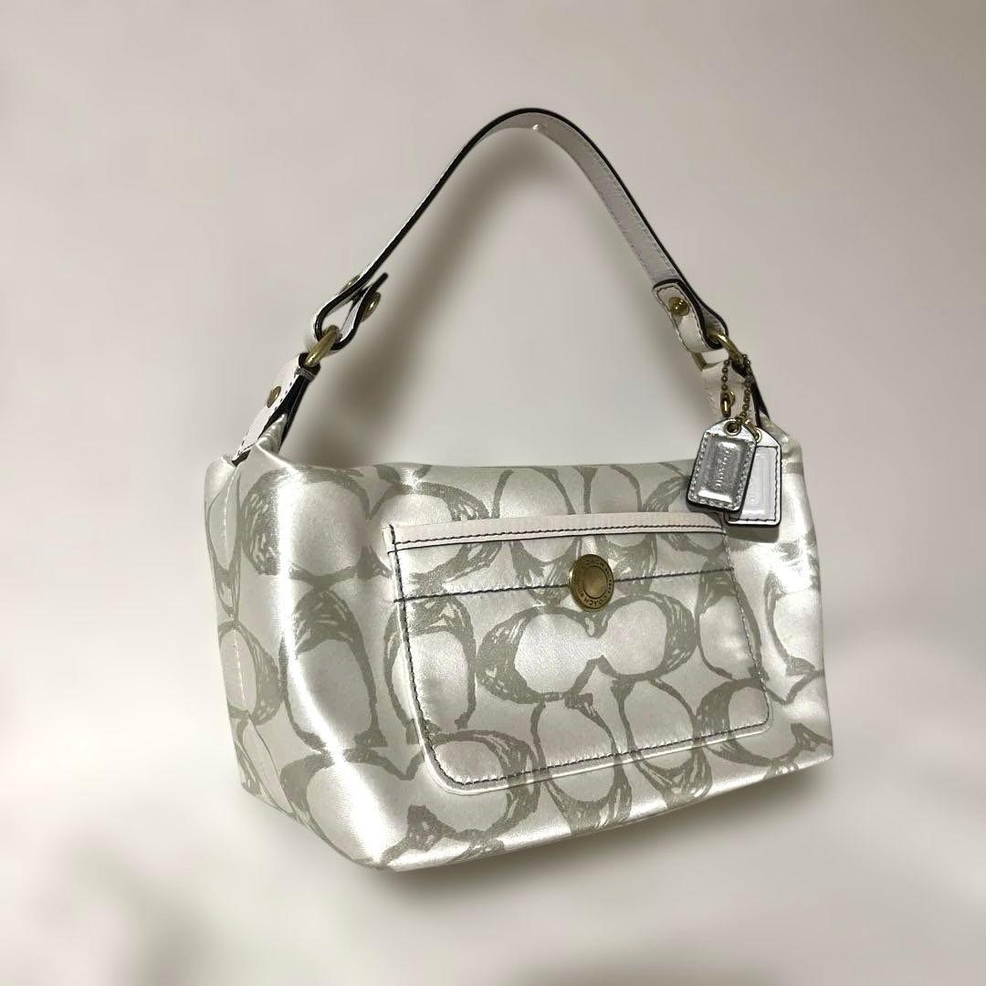 COACH コーチ バッグ アクセサリーポーチ バニティ y2k グランジ