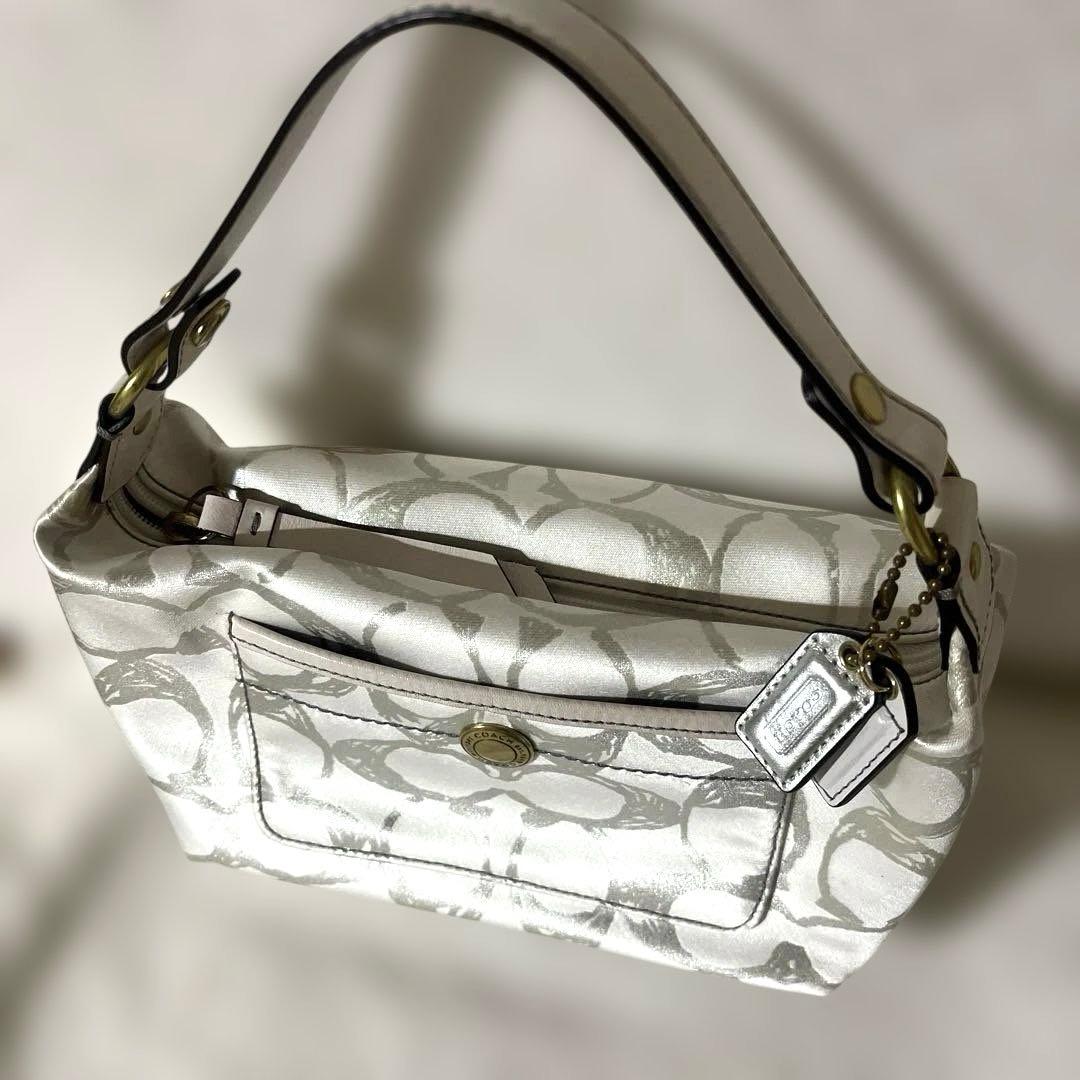 COACH コーチ バッグ アクセサリーポーチ バニティ y2k グランジ