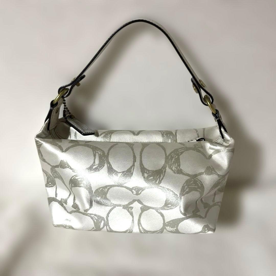 COACH コーチ バッグ アクセサリーポーチ バニティ y2k グランジ