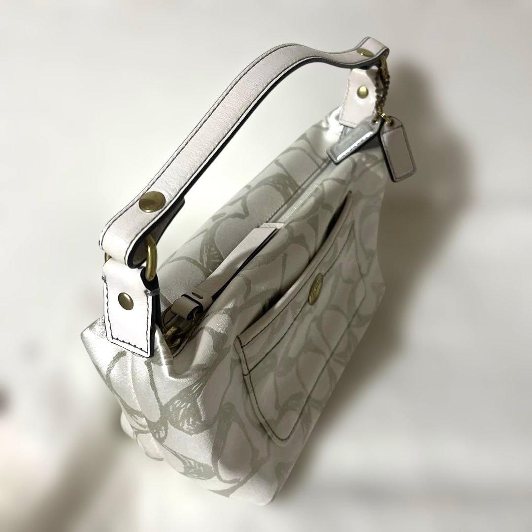 COACH コーチ バッグ アクセサリーポーチ バニティ y2k グランジ