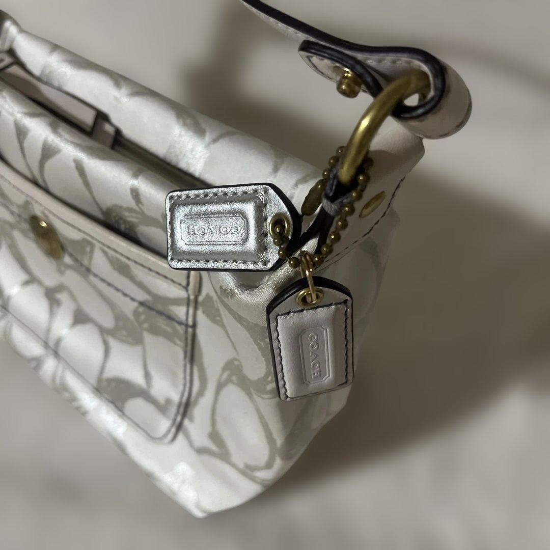 COACH コーチ バッグ アクセサリーポーチ バニティ y2k グランジ