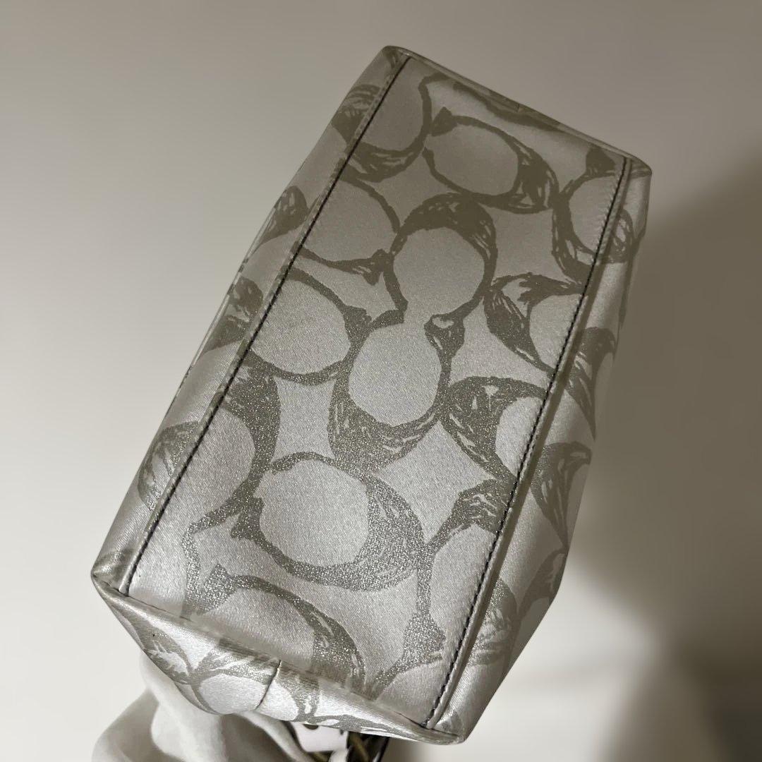 COACH コーチ バッグ アクセサリーポーチ バニティ y2k グランジ