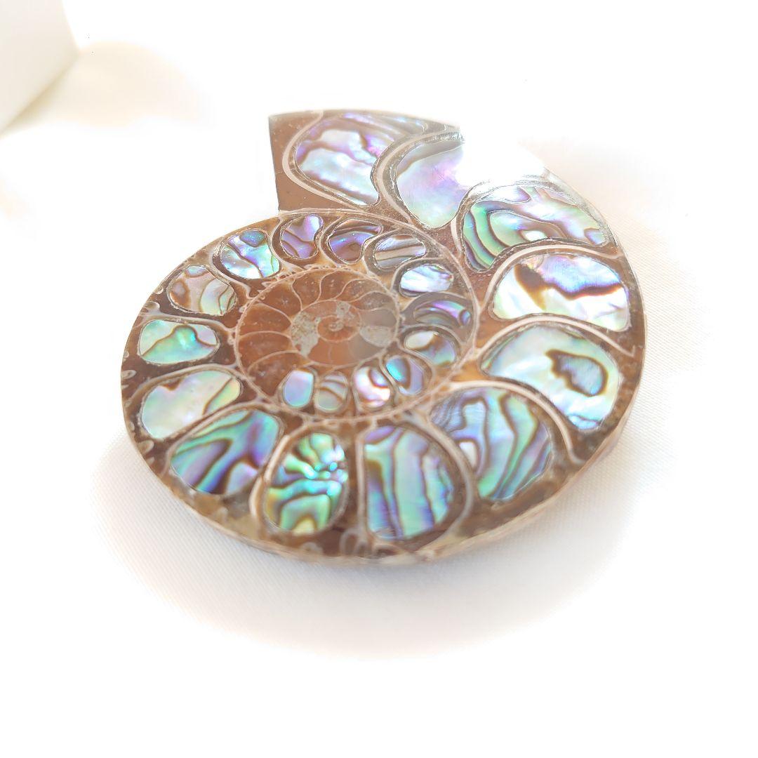 幸運の宝石アンモナイトの化石 約15cm 虹色　コレクション