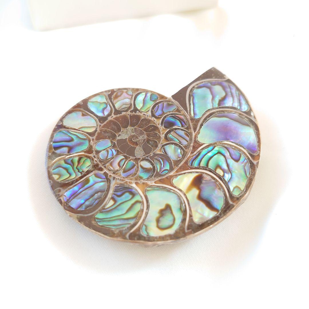 幸運の宝石アンモナイトの化石 約15cm 虹色　コレクション