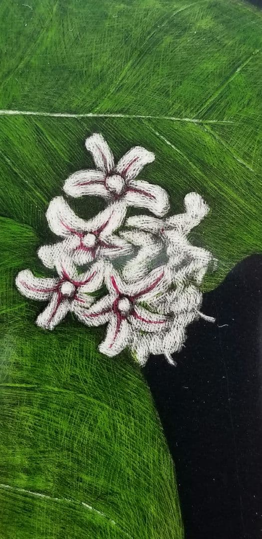 長野県大町市在住の齋藤清さんのかがいもの花