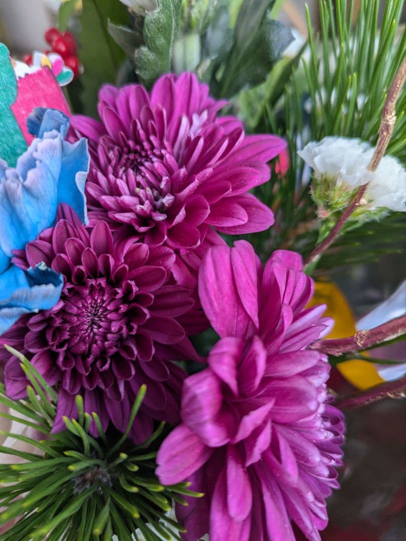 ❀さくらもち様❀