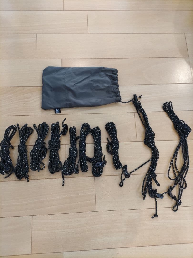 断*ン様 ZANEARTS GIGI1 ゼインアーツ ギギ1