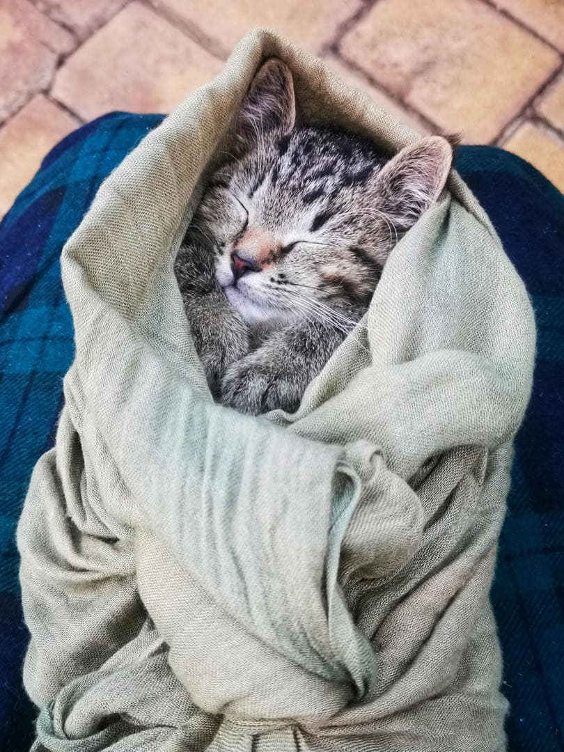 新春セール♪【28％OFF】ロシア☆お起き上がりこぼし♪『冬景色』マトリョーシカ