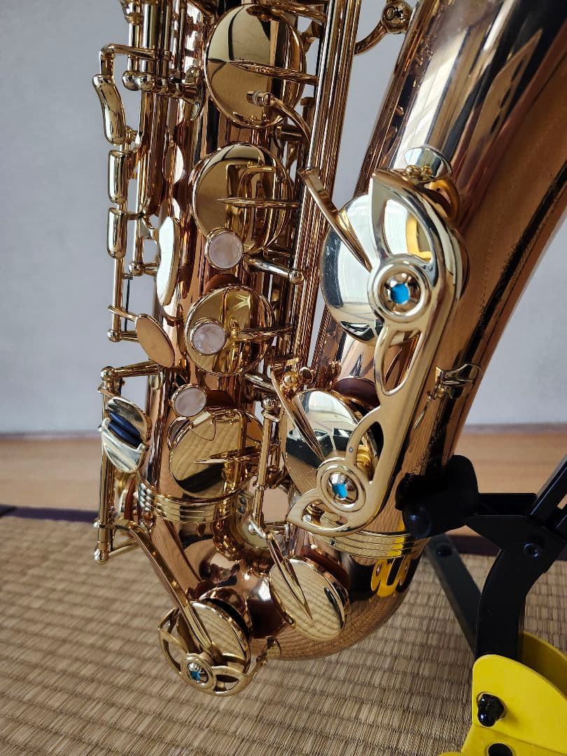 YANAGISAWA T-WO2 テナーサックス