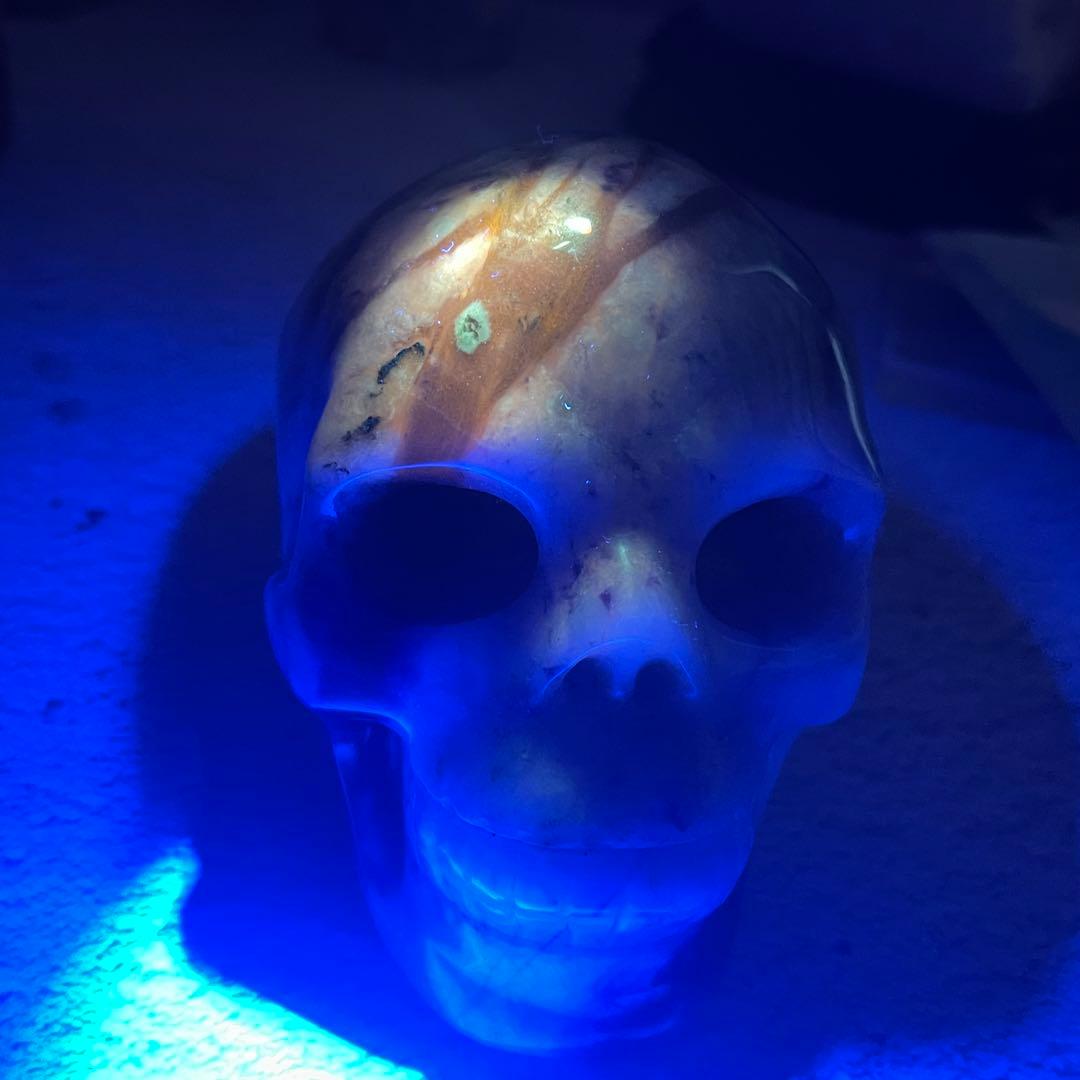 送料無料 ソーダライト ドクロ スカル UVライト