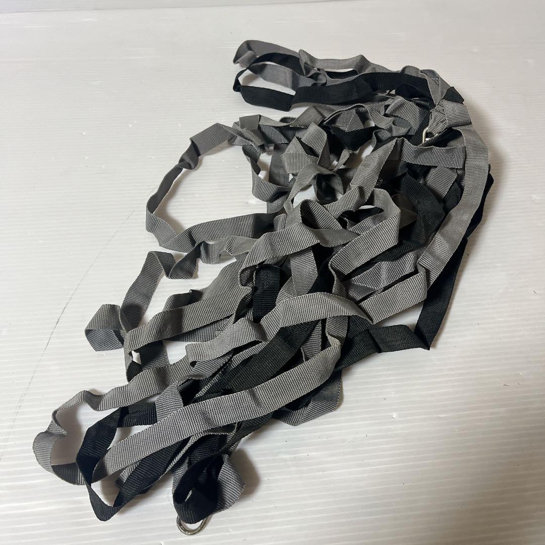 Coleman コールマン パーティーシェード300 パープル