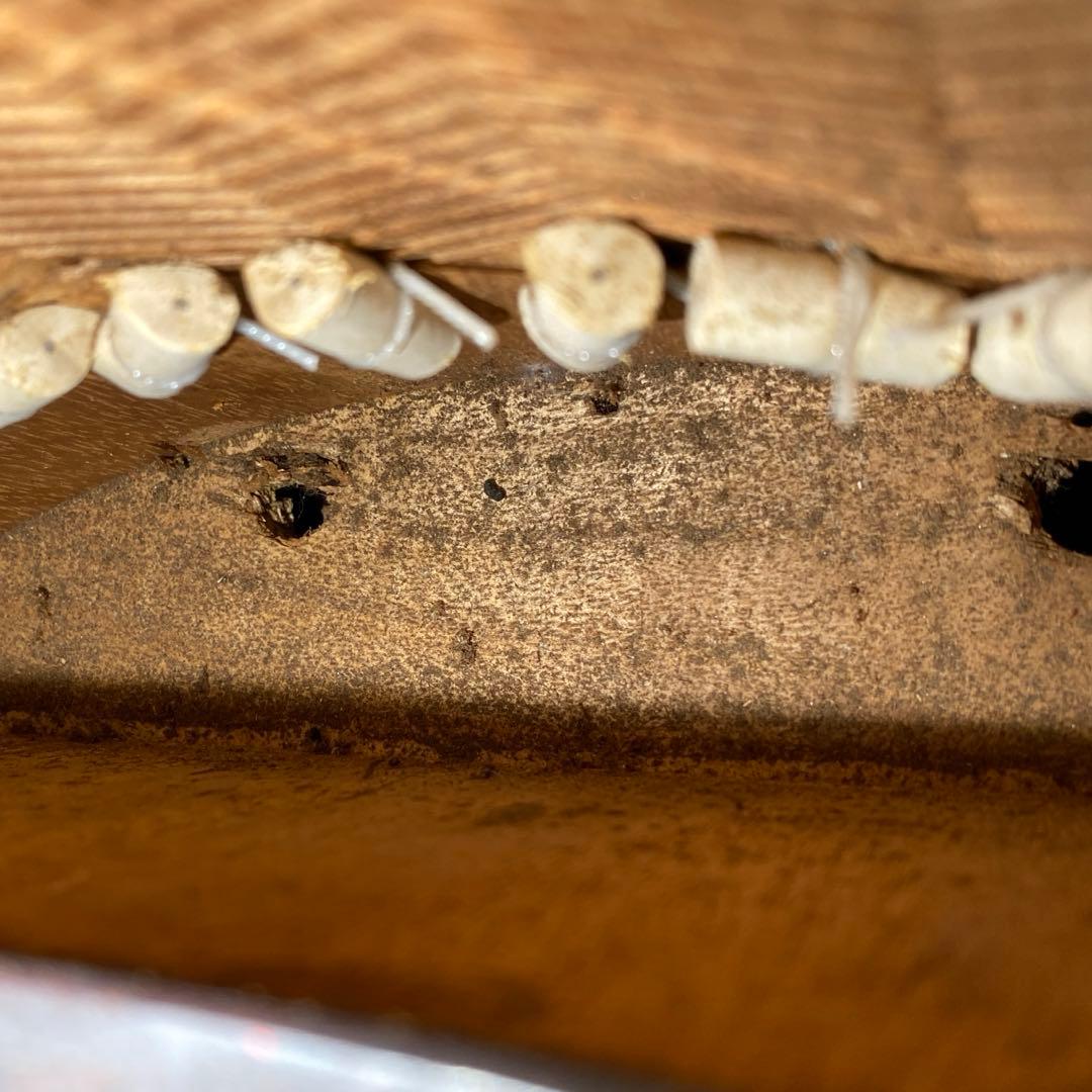 秀本在銘　最高級　お琴　綾杉彫刳甲　全長183㎝　トヒコ　東な7-0210☆2F