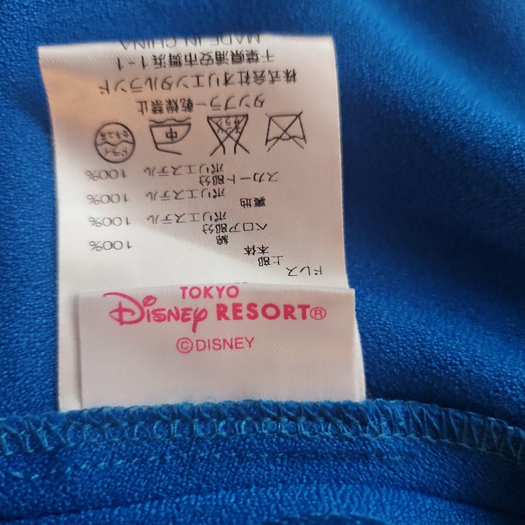 東京ディズニーリゾート　アナ　ドレス